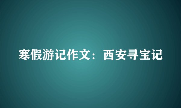 寒假游记作文：西安寻宝记