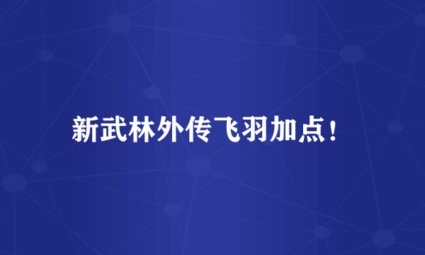 新武林外传飞羽加点！