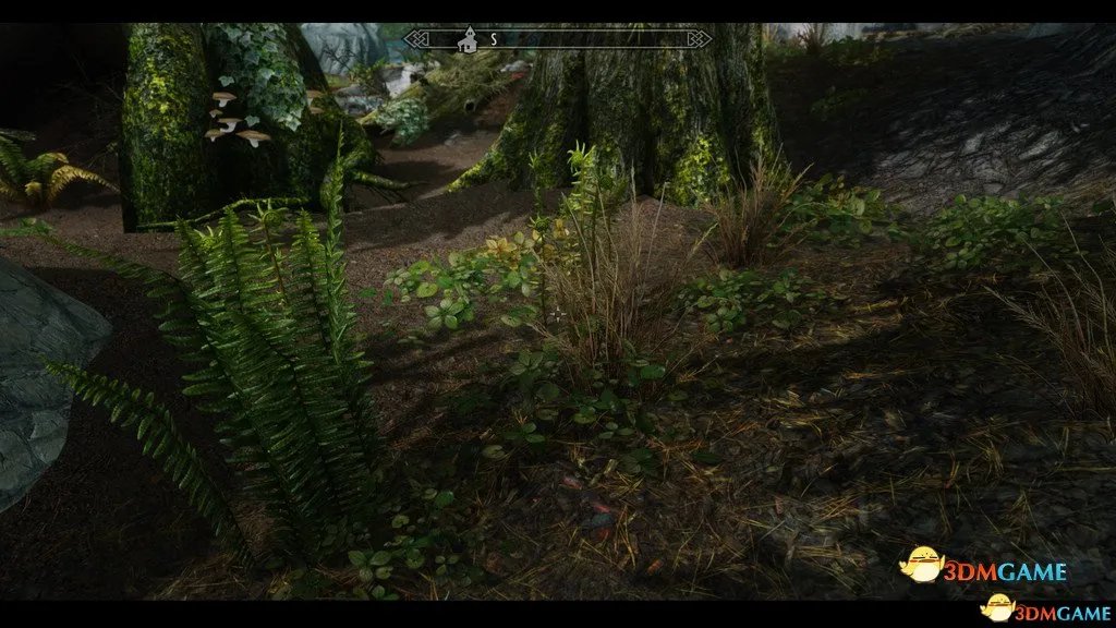 上古卷轴5 画质MOD 真正的高清画质ENB