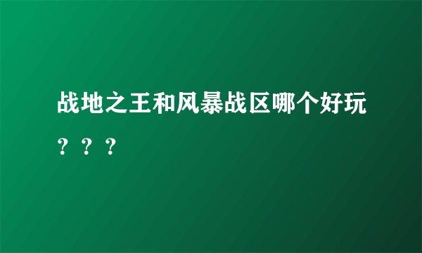 战地之王和风暴战区哪个好玩？？？