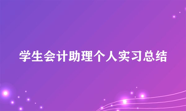 学生会计助理个人实习总结
