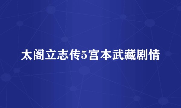 太阁立志传5宫本武藏剧情