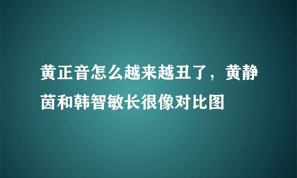 黄正音怎么越来越丑了，黄静茵和韩智敏长很像对比图