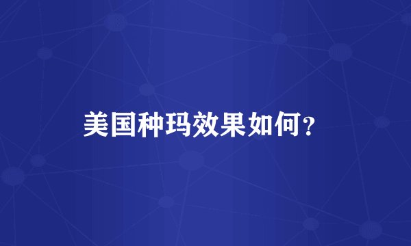 美国种玛效果如何？