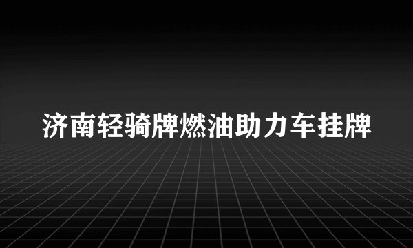 济南轻骑牌燃油助力车挂牌