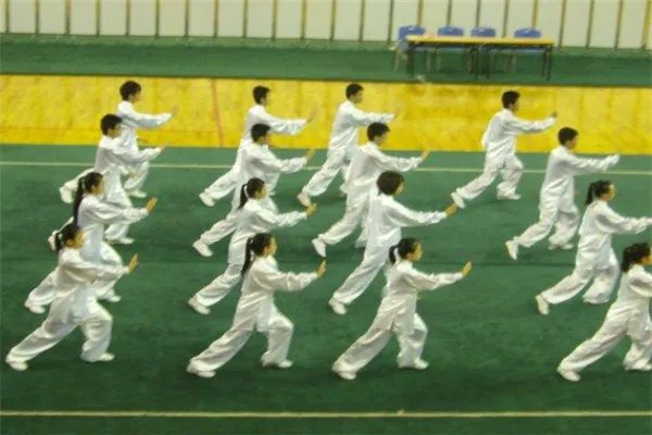 河南十大武校排行榜：中华武术学校上榜，第六已有53年历史