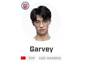 lgd战队成员有哪些?