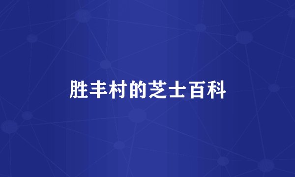 胜丰村的芝士百科