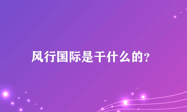 风行国际是干什么的？