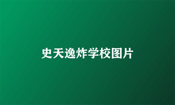史天逸炸学校图片