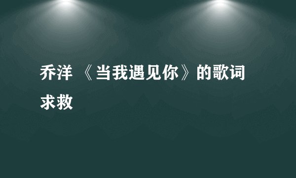 乔洋 《当我遇见你》的歌词 求救