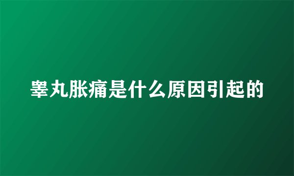 睾丸胀痛是什么原因引起的