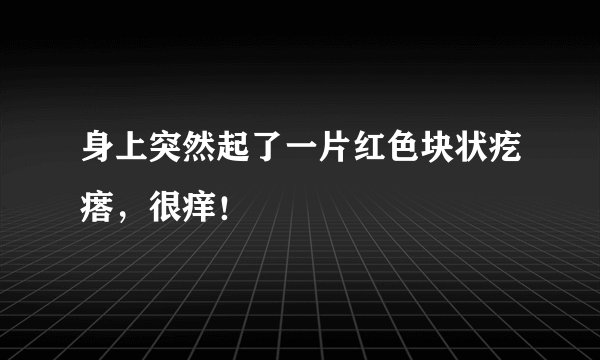 身上突然起了一片红色块状疙瘩，很痒！
