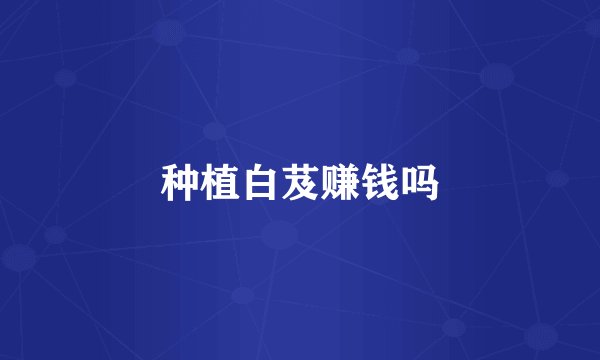 种植白芨赚钱吗