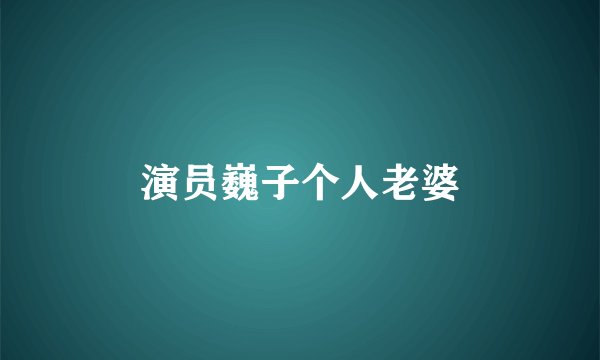 演员巍子个人老婆