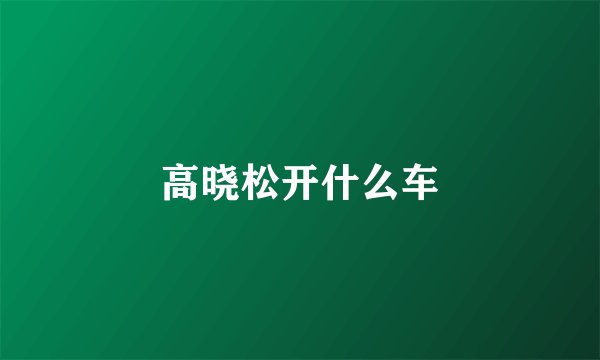 高晓松开什么车