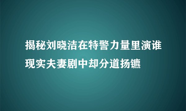 揭秘刘晓洁在特警力量里演谁现实夫妻剧中却分道扬镳