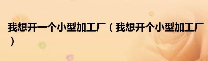 我想开一个小型加工厂(我想开个小型加工厂)