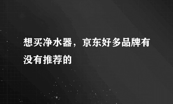 想买净水器，京东好多品牌有没有推荐的
