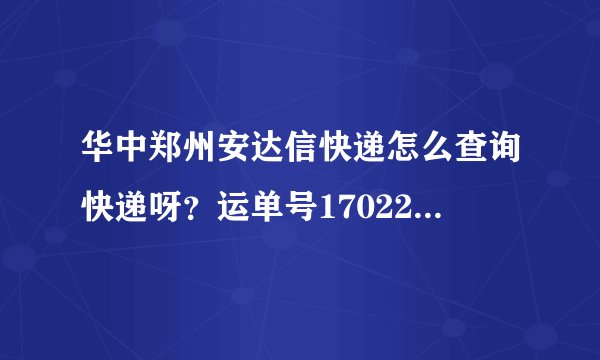 华中郑州安达信快递怎么查询快递呀？运单号17022893186553