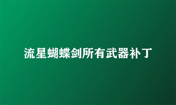 流星蝴蝶剑所有武器补丁