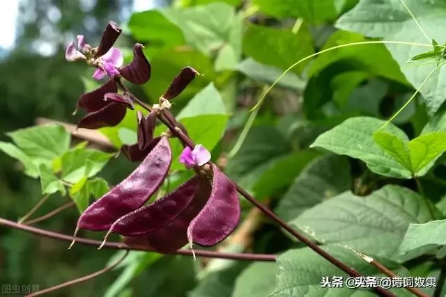 人在世上，最难面对的事是什么？