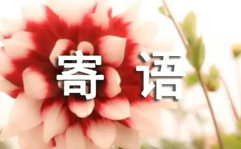 空间留言板主人寄语