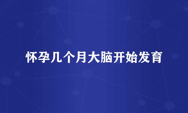 怀孕几个月大脑开始发育