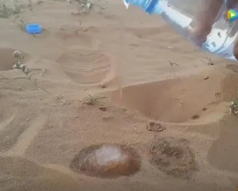沙漠中倒下水接下来现惊奇一幕(组图)