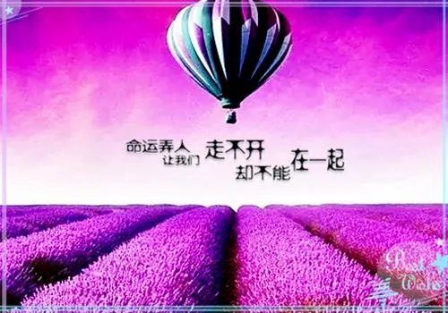 双簧温庭玉林玉堂李顺民国耽美小说全文免费阅读 作者PETA虫曷