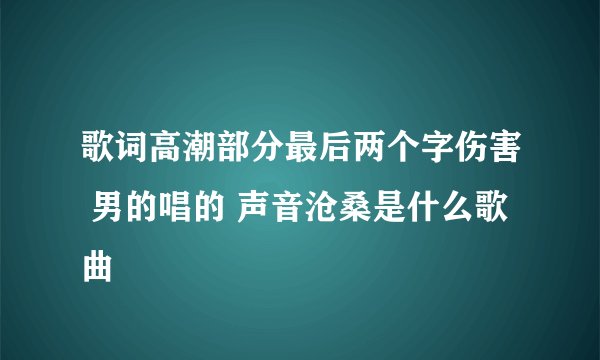 歌词高潮部分最后两个字伤害 男的唱的 声音沧桑是什么歌曲