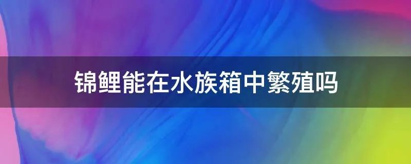锦鲤能在水族箱中繁殖吗