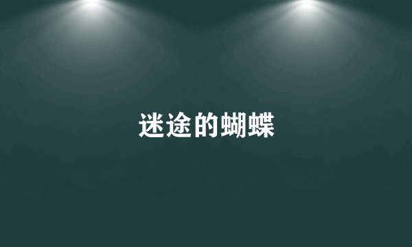 迷途的蝴蝶