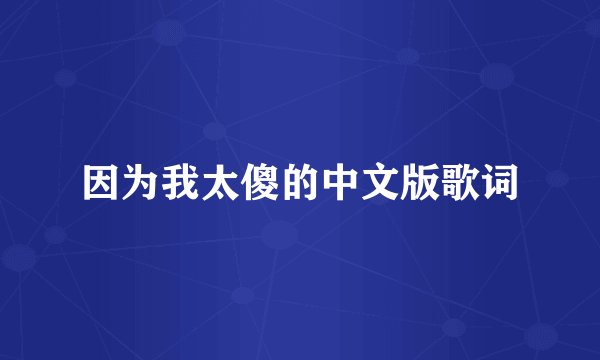 因为我太傻的中文版歌词