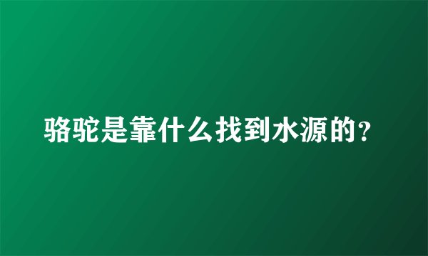 骆驼是靠什么找到水源的？
