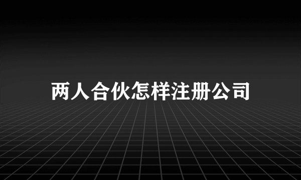 两人合伙怎样注册公司