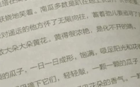 一年级下册语文期中试卷
