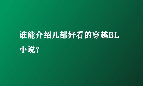 谁能介绍几部好看的穿越BL小说？
