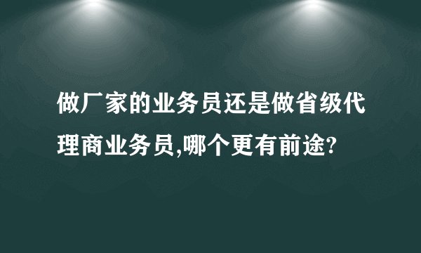 做厂家的业务员还是做省级代理商业务员,哪个更有前途?
