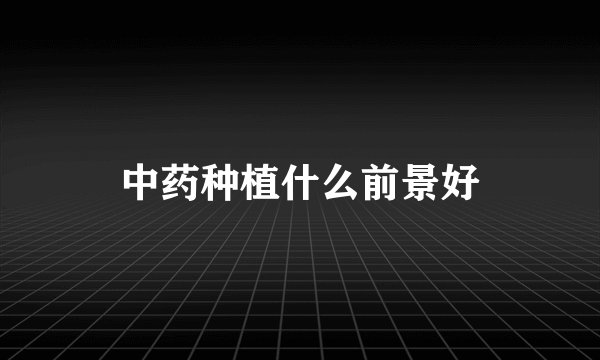 中药种植什么前景好