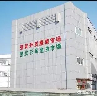 天津目前还有哪些淘宝街呢?